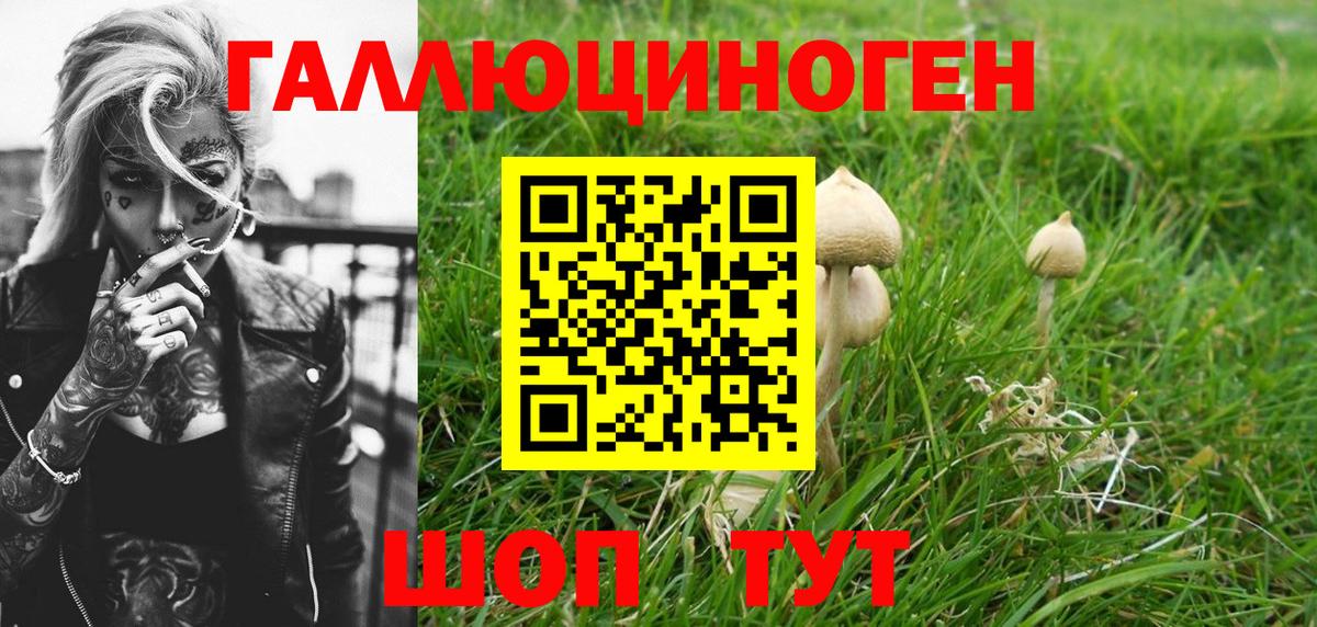Гусиноозёрск  Галлюциногенные грибы Magic Shrooms  Вход с VPN  закладка  Псилоцибиновые грибы MAGIC MUSHROOMS 