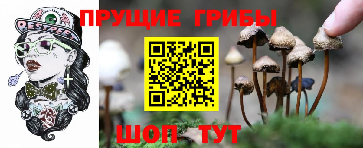 Псилоцибиновые грибы Magic Shrooms Гусиноозёрск